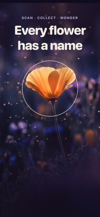 Flowist hero screen — the scan portal glowing around a California poppy at dusk