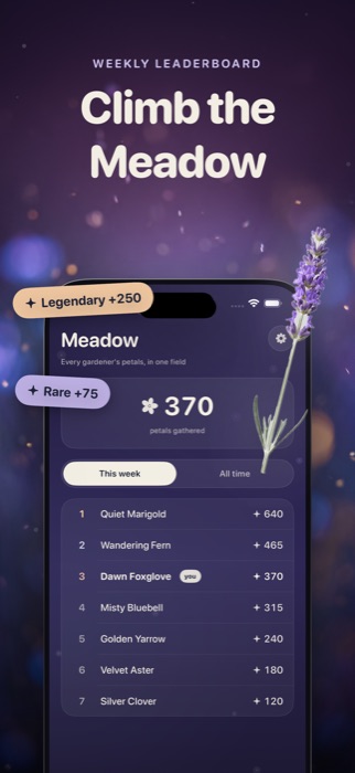 The Meadow weekly leaderboard, ranked by petals